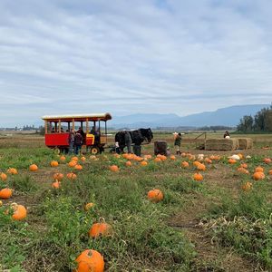 Meet your Posher, Kaley